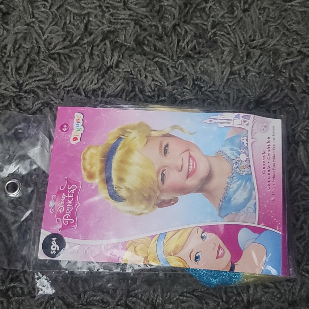 👸🏻NIB Cinderella Costume Wig👸🏻